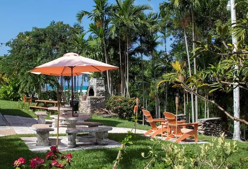 ホテル Orange Hill Beach Inn