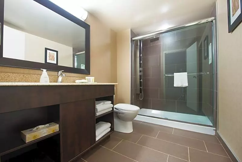 Victoria Inn Hotel & Convention Centre Brandon