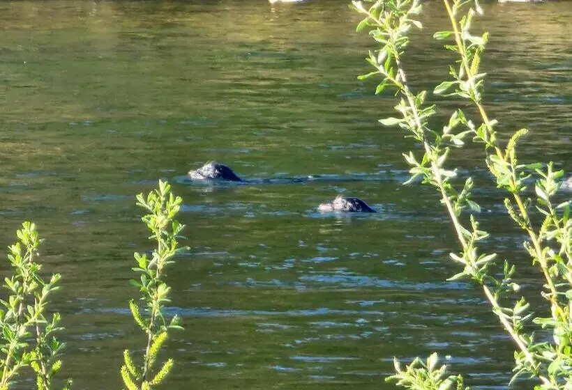 Lomakeskus Campbell River Lodge