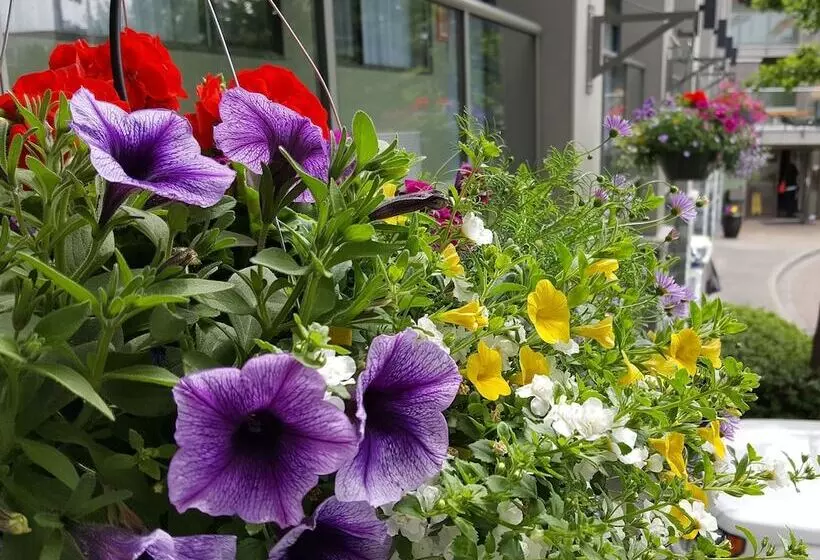 בית מלון כפרי Accent Inns Victoria