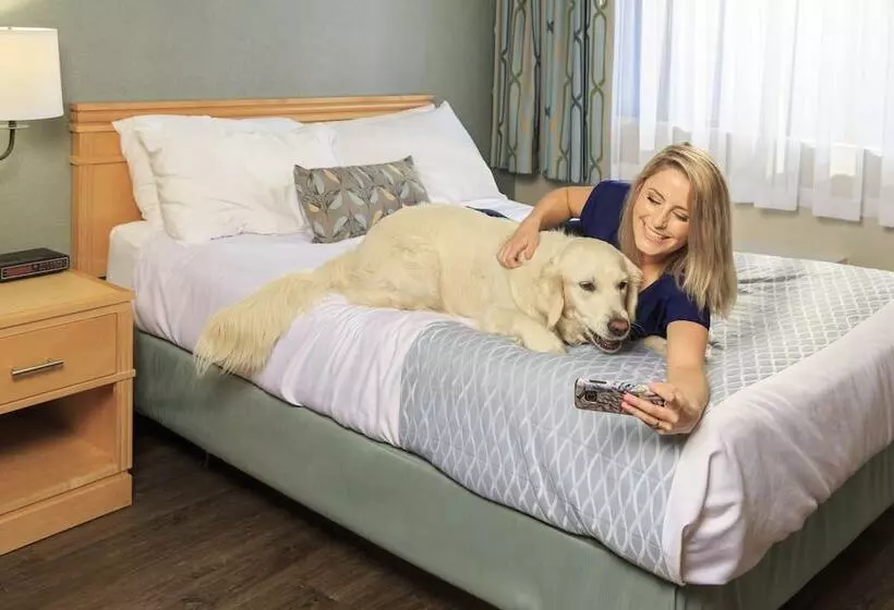 בית מלון כפרי Accent Inns Victoria