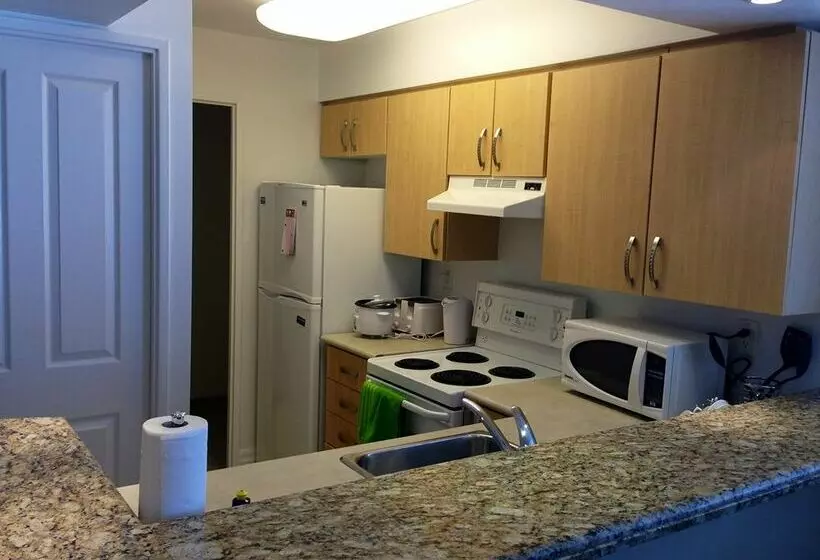 هتل Bay Bloor Executive Suites