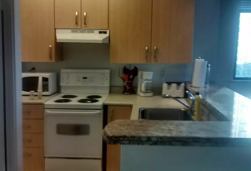 هتل Bay Bloor Executive Suites