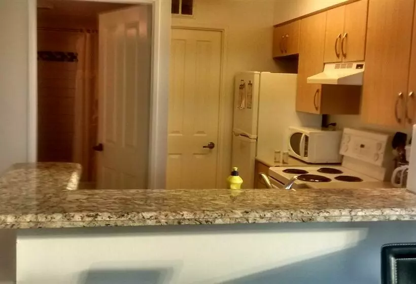 هتل Bay Bloor Executive Suites