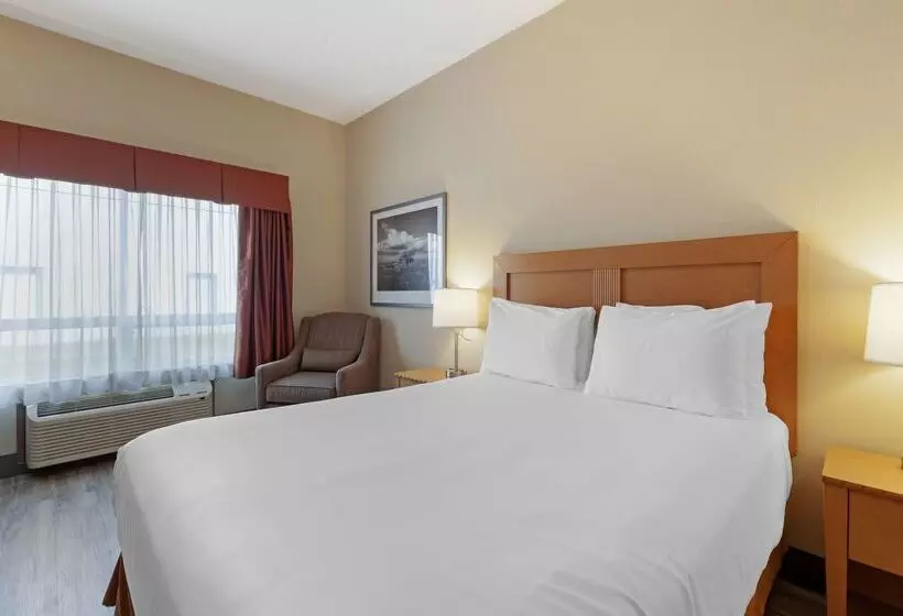 Szálloda Best Western Grande Prairie