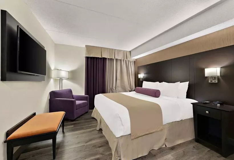 Best Western Plus Toronto North York Hotel & Suites