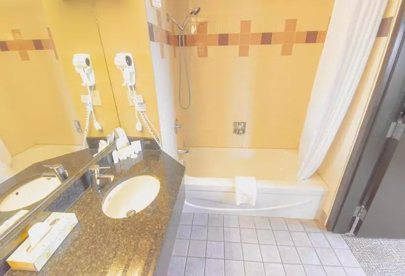 ホテル Canad Inns Destination Centre Polo Park