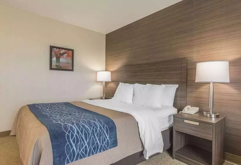 فندق Comfort Inn