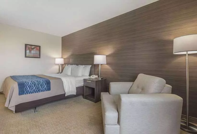 فندق Comfort Inn