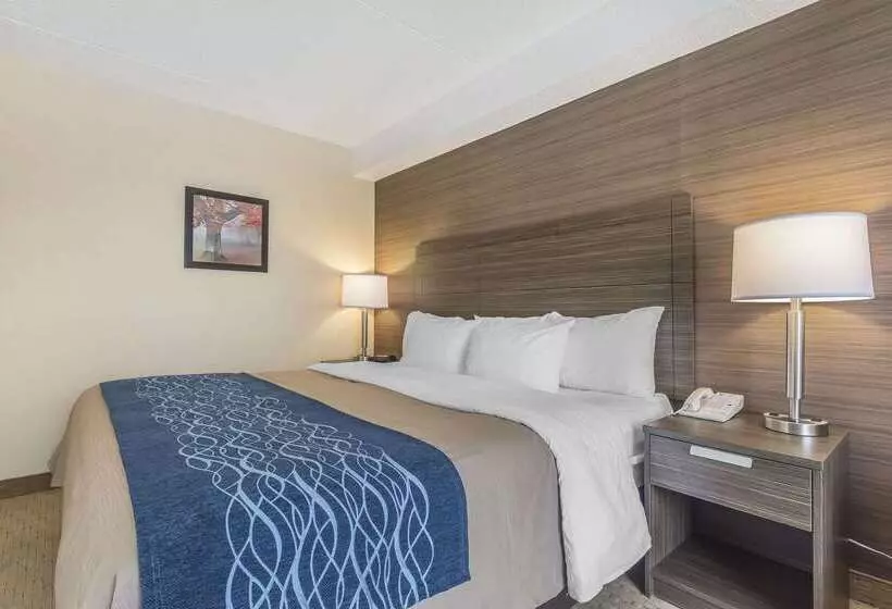 فندق Comfort Inn