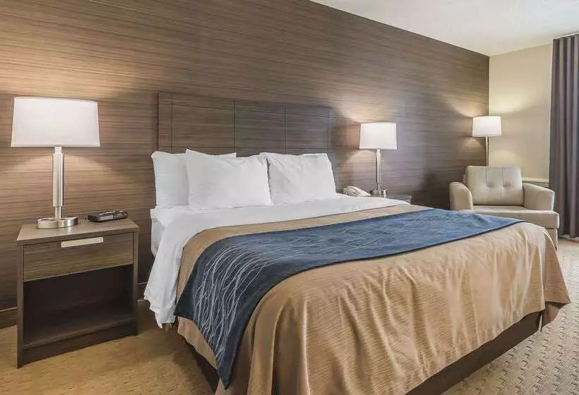 فندق Comfort Inn