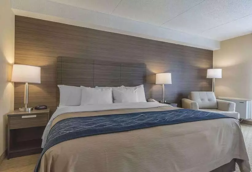 فندق Comfort Inn