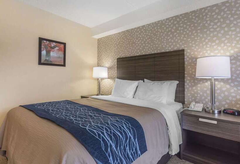 בית מלון כפרי Comfort Inn