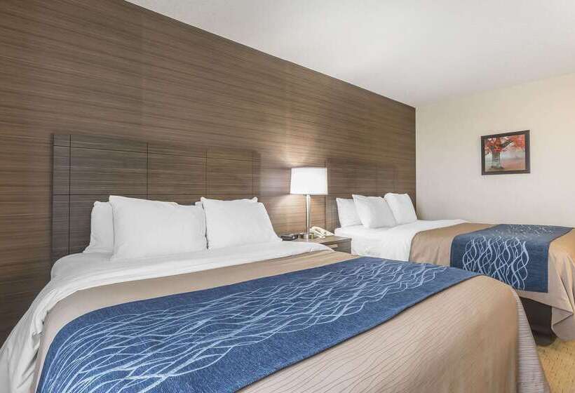 בית מלון כפרי Comfort Inn