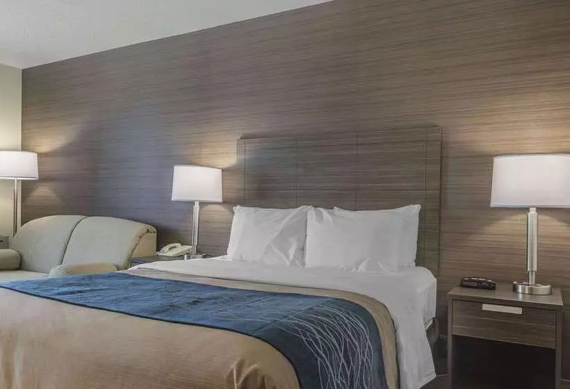 فندق Comfort Inn