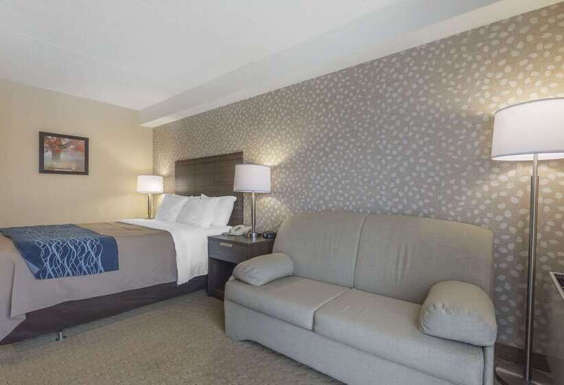 בית מלון כפרי Comfort Inn