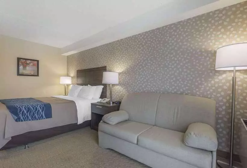 فندق Comfort Inn