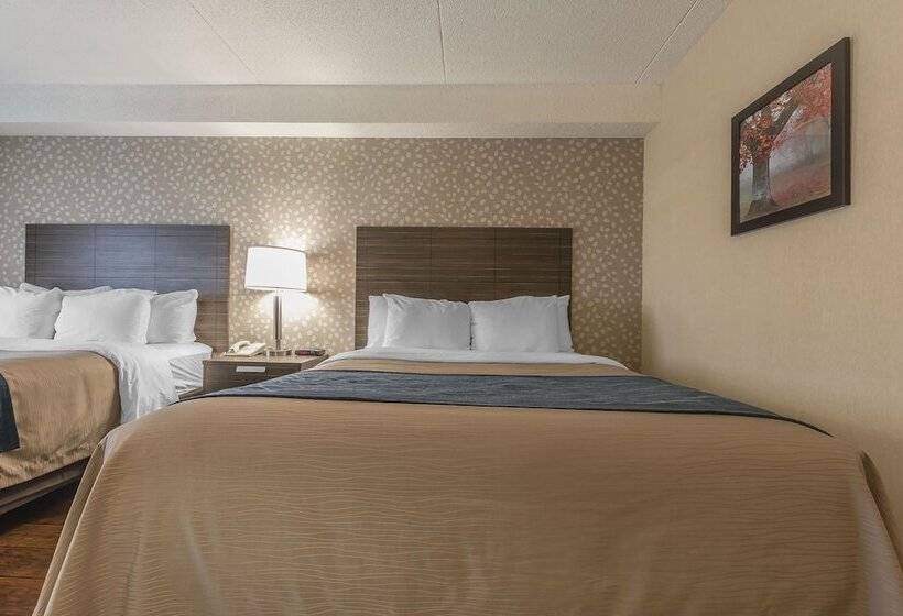 בית מלון כפרי Comfort Inn