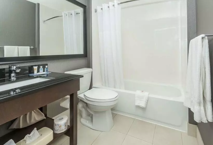 בית מלון כפרי Comfort Inn