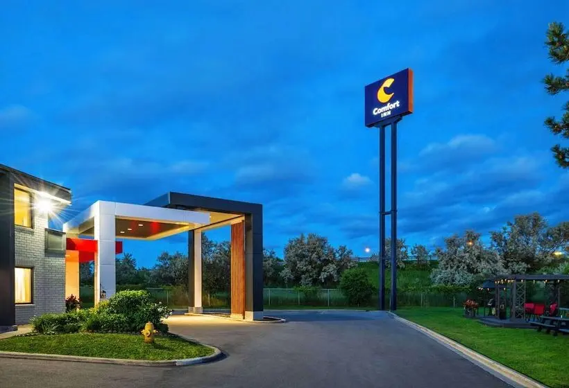 ホテル Comfort Inn Newmarket