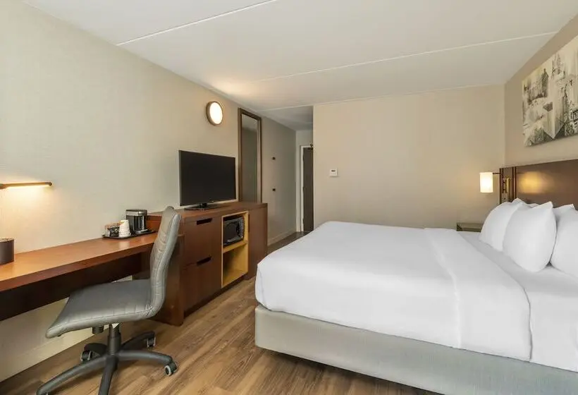 ホテル Comfort Inn Newmarket