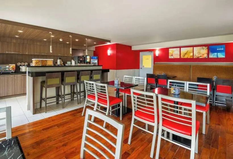ホテル Comfort Inn Newmarket