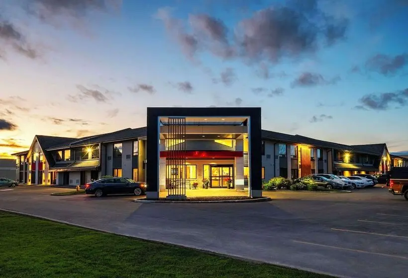 ホテル Comfort Inn Newmarket