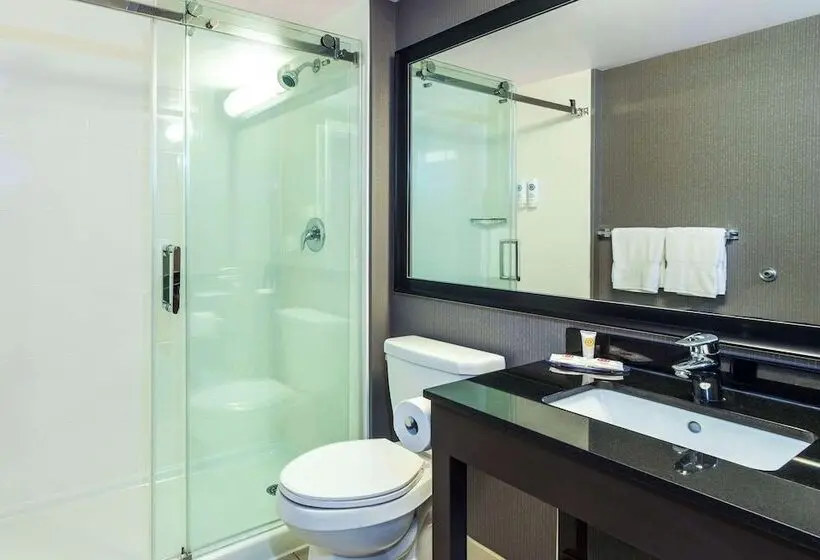 ホテル Comfort Inn Newmarket