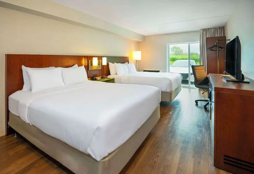 ホテル Comfort Inn Newmarket