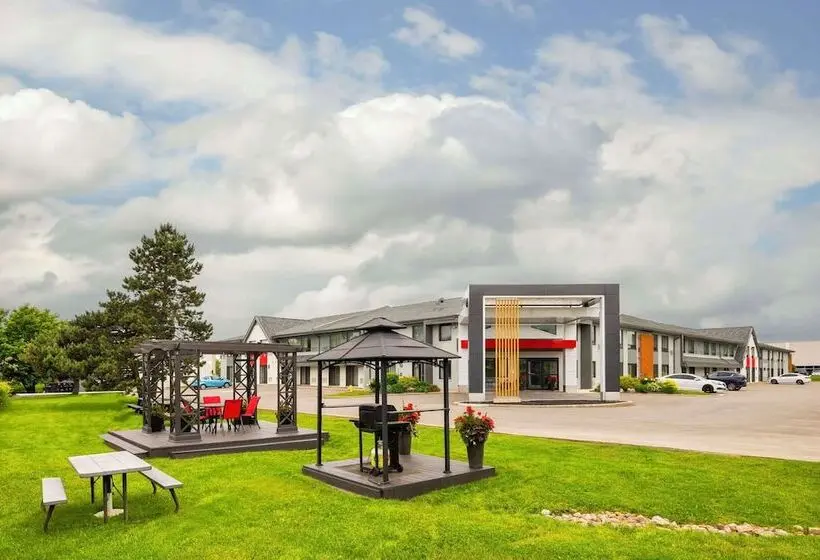 ホテル Comfort Inn Newmarket