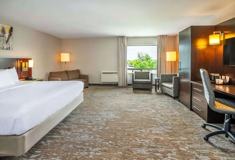 ホテル Comfort Inn Newmarket