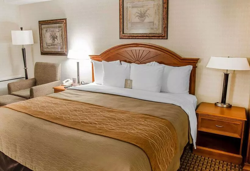 酒店 Spark By Hilton Toronto Markham