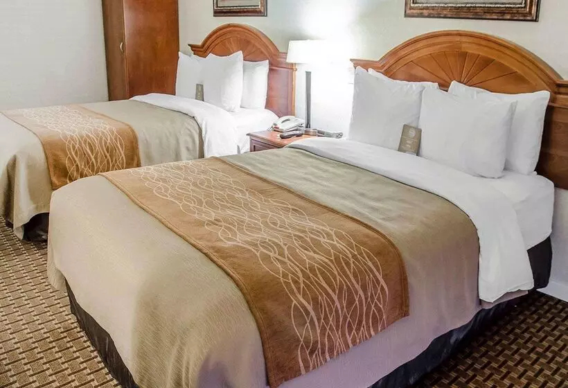 酒店 Spark By Hilton Toronto Markham