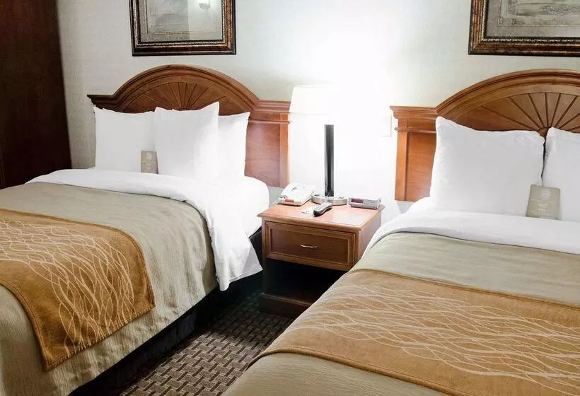 酒店 Spark By Hilton Toronto Markham