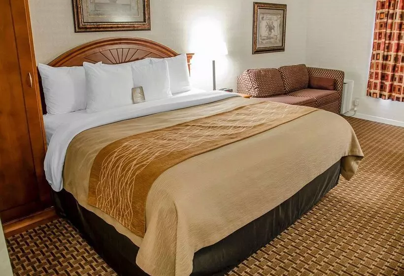 酒店 Spark By Hilton Toronto Markham