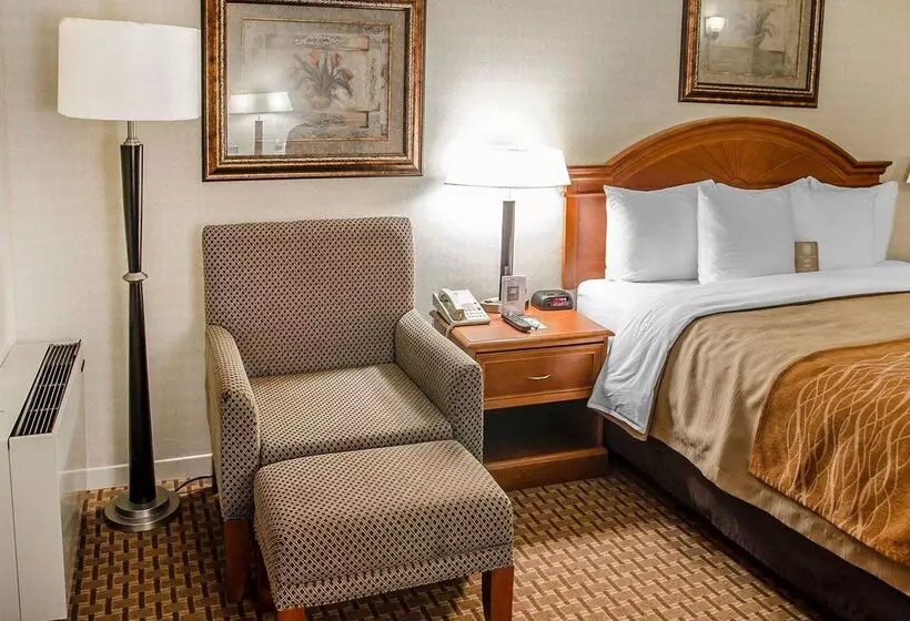 酒店 Spark By Hilton Toronto Markham