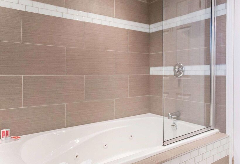 فندق Econo Lodge Downtown