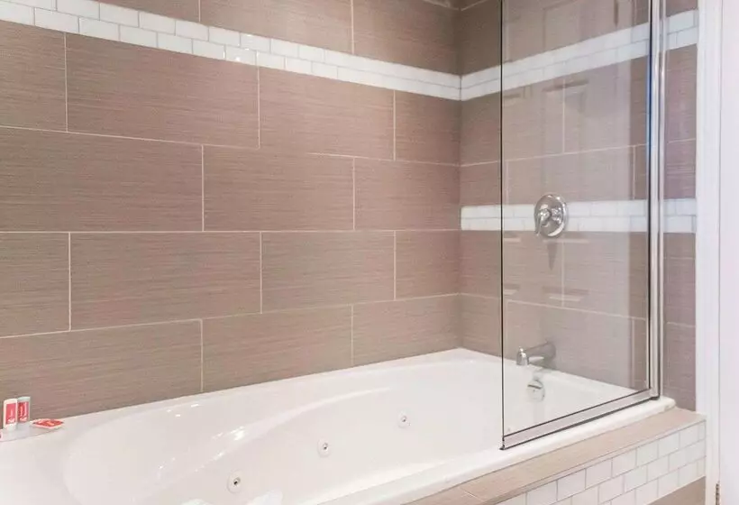 酒店 Econo Lodge Downtown