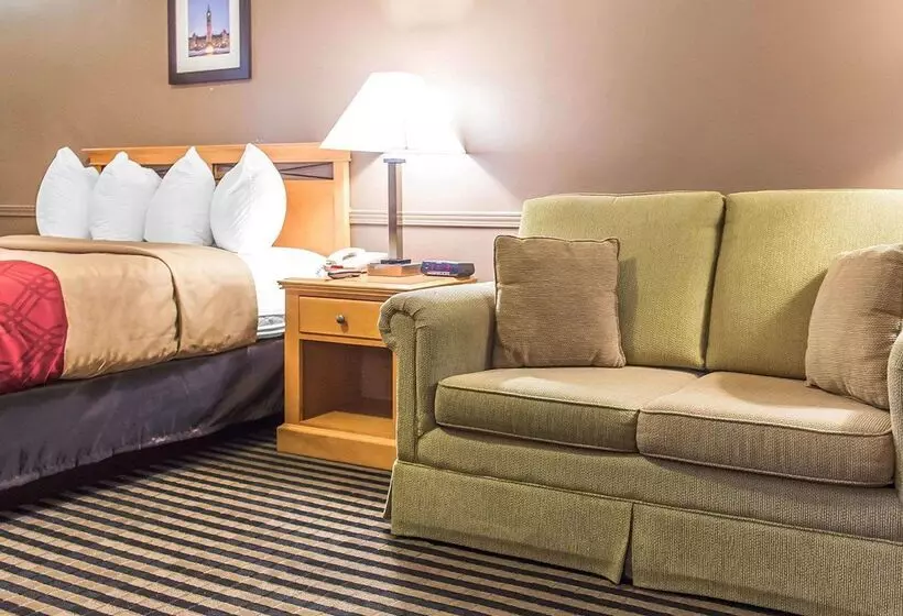 酒店 Econo Lodge Downtown