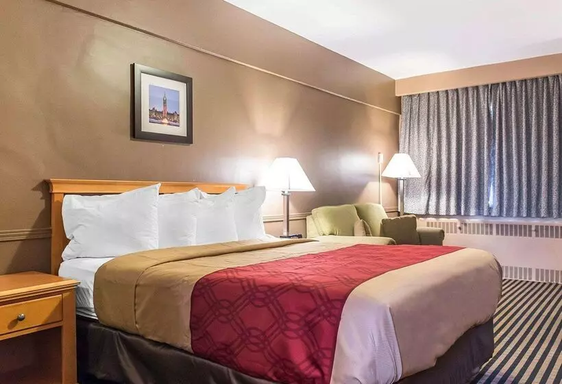 酒店 Econo Lodge Downtown