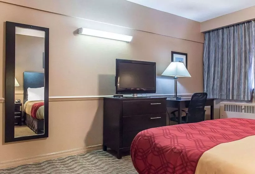 酒店 Econo Lodge Downtown