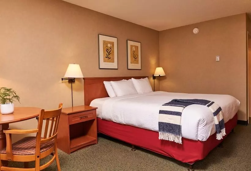 Hotelli Marmot Lodge Jasper