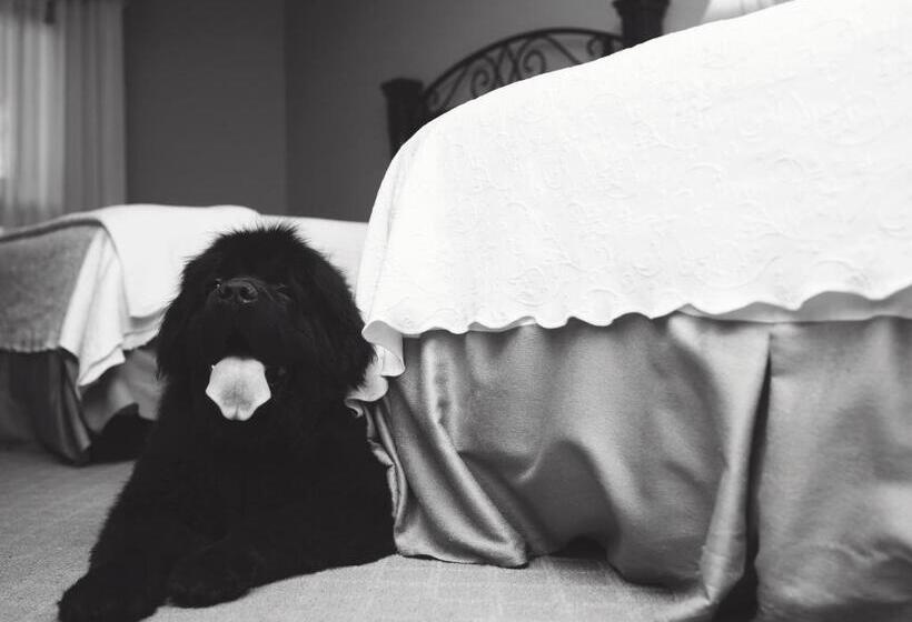 هتل Old Stone Inn Boutique