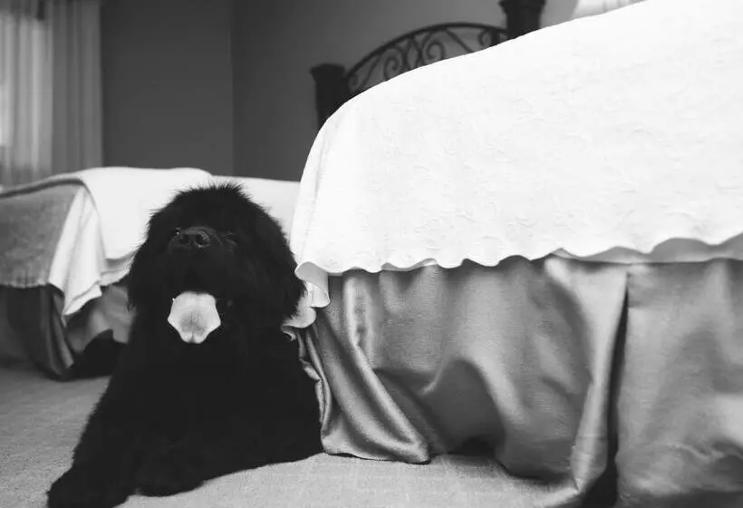 Hotel Old Stone Inn Boutique