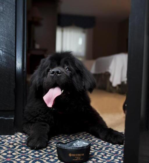 هتل Old Stone Inn Boutique