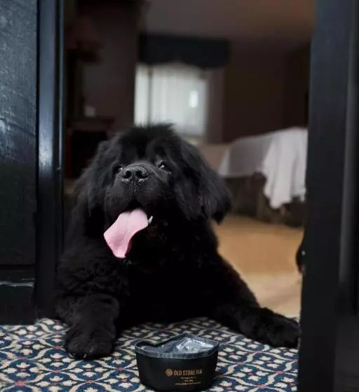 Hotel Old Stone Inn Boutique