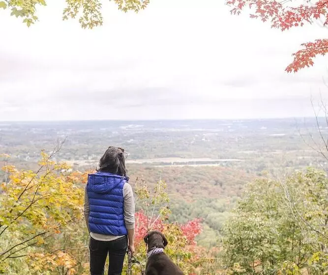 فندق Ottawa Marriott