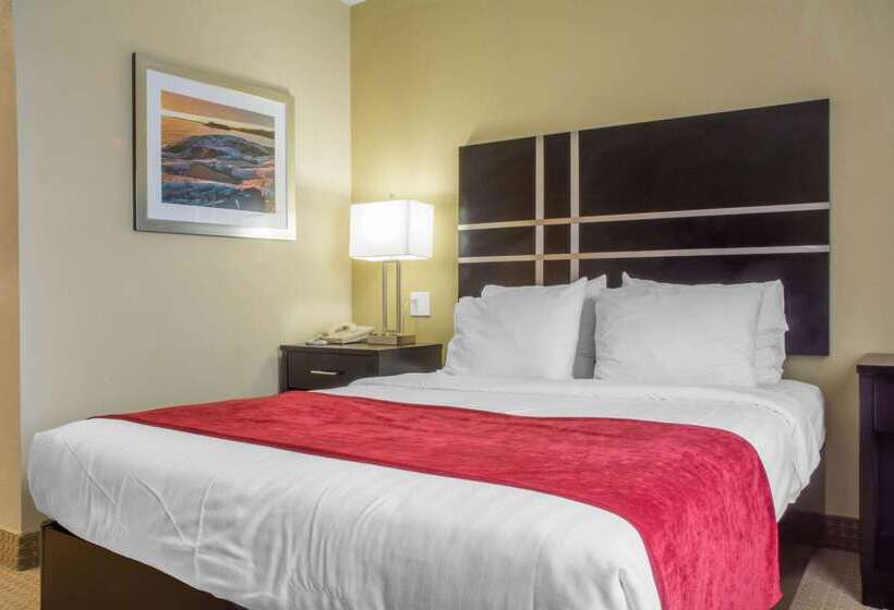 Отель Quality Inn