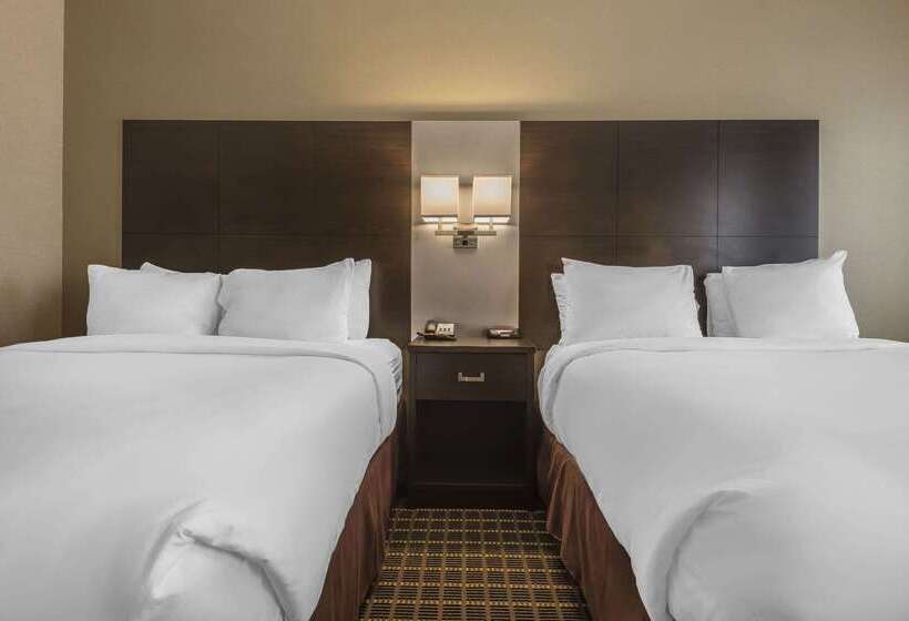 فندق Quality Inn & Suites Downtown