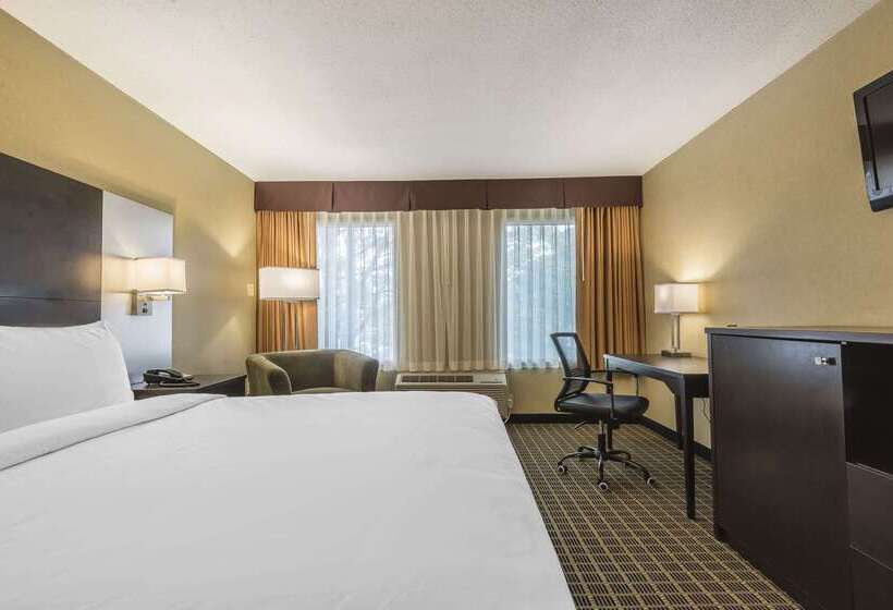 فندق Quality Inn & Suites Downtown